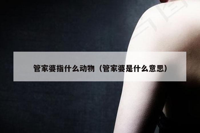 管家婆指什么动物（管家婆是什么意思）