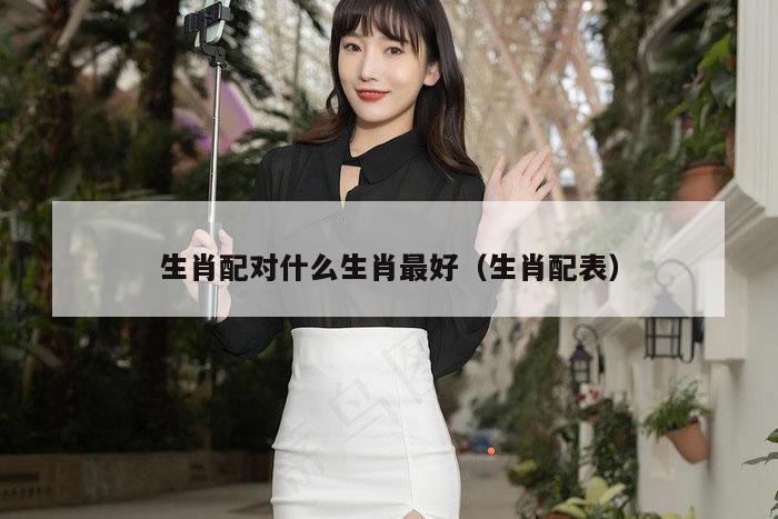 生肖配对什么生肖最好（生肖配表）