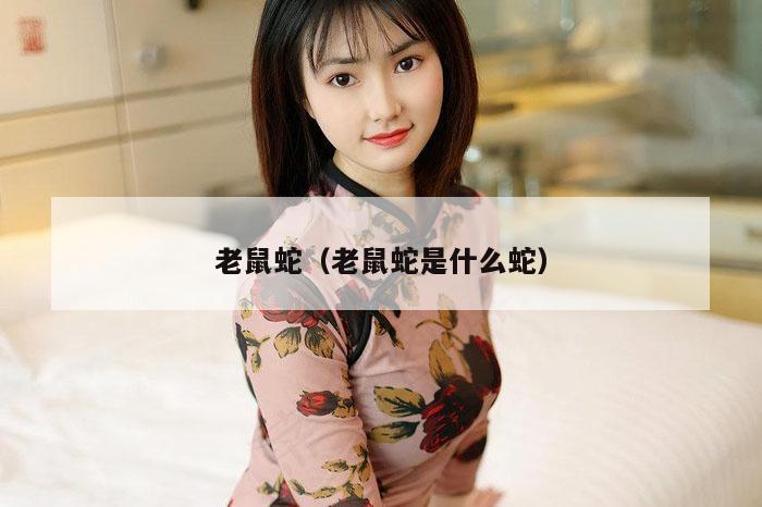 老鼠蛇（老鼠蛇是什么蛇）